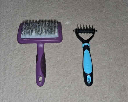 Photo of free Dog accessories (LE2) #4