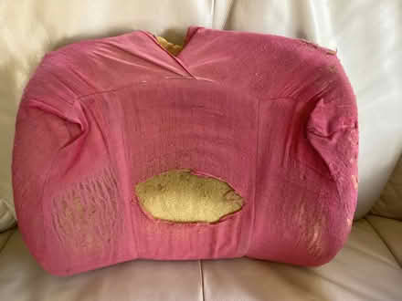 Photo of free Old back support (Piedmont) #1