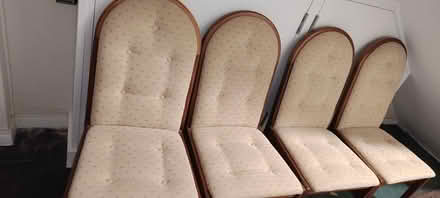 Photo of free Dining chairs (Lower Parkstone BH14) #2