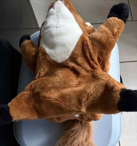 Photo of free Fox hand puppet (Westbury Wilts BA13) #2