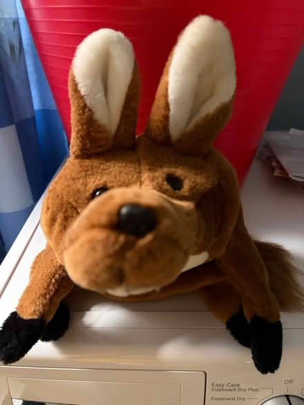 Photo of free Fox hand puppet (Westbury Wilts BA13) #1