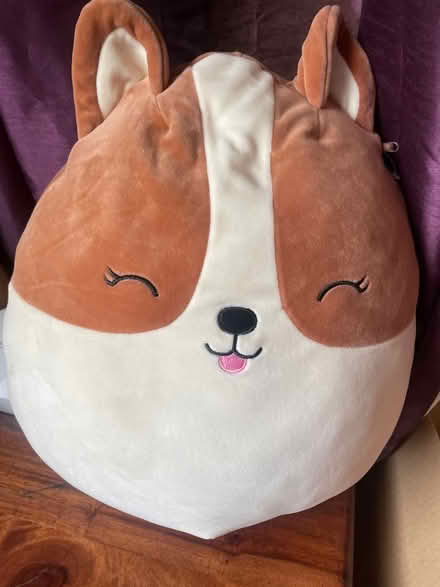 Photo of free Squishmallows (Blacklands TN34) #1