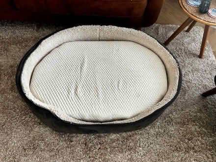 Photo of free Dog bed (Belper DE56) #2