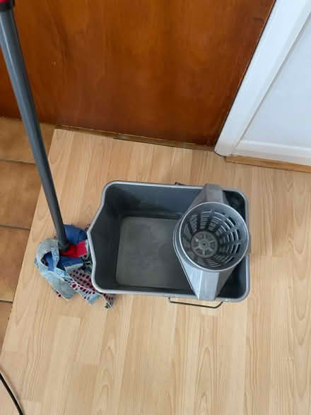 Photo of free Mop and bucket (BR2 9QY) #1