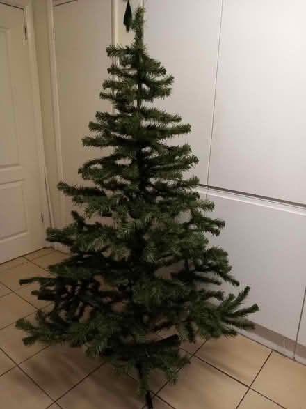 Photo of free Christmas Tree (Thanet CT10) #1