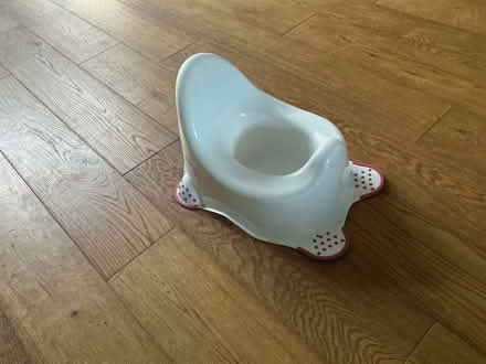 Photo of free Potty (Harrogate HG1) #1
