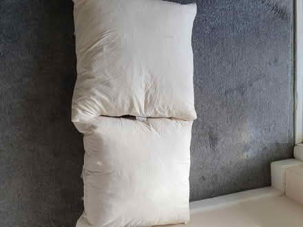 Photo of free Duck Feather Cushions Without Cover (Bournville B30) #1