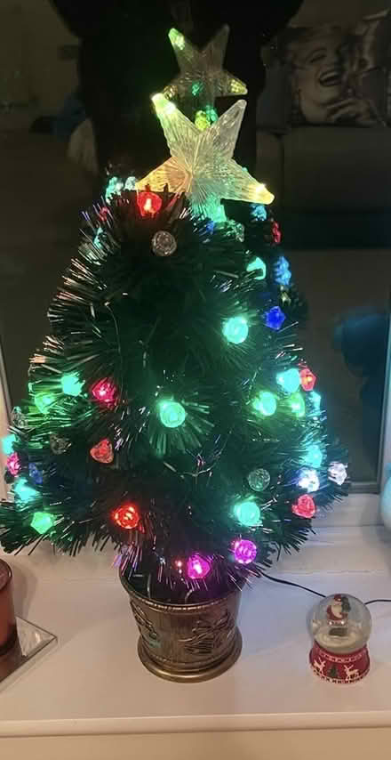 Photo of free Fibre optic tree (Kenilworth CV8) #1