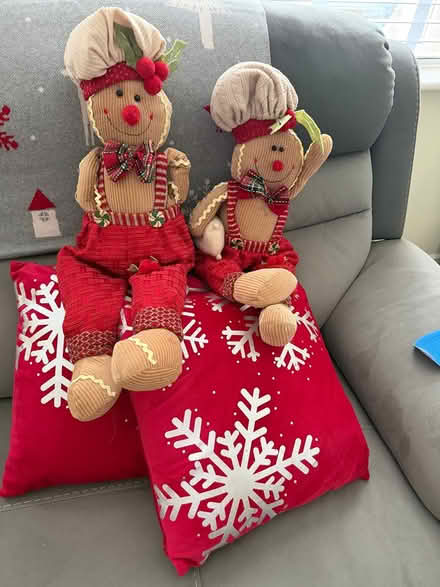 Photo of free Christmas decorative items (Douglas.) #1