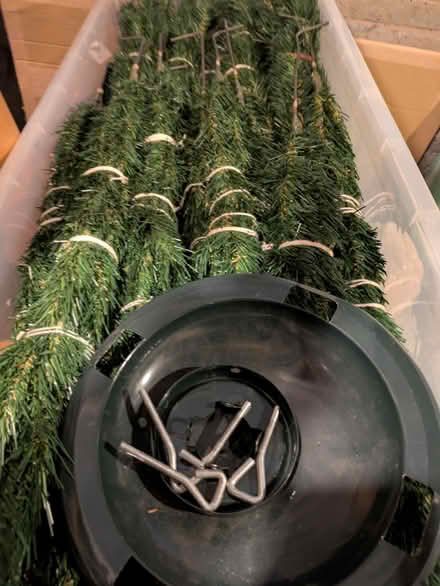 Photo of free Christmas Tree (Seaford BN25) #1