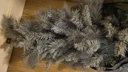 Photo of free Grey Christmas tree (Church RG2) #1