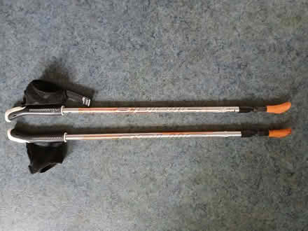 Photo of free nordic walking poles (Palmer Park RG1) #1