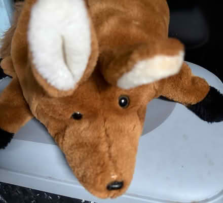 Photo of free Fox hand puppet (Westbury Wilts BA13) #3