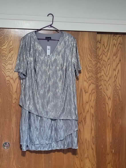 Photo of free NEW Silver Dress by Alex Evenings (Los Altos Hills, CA) #1