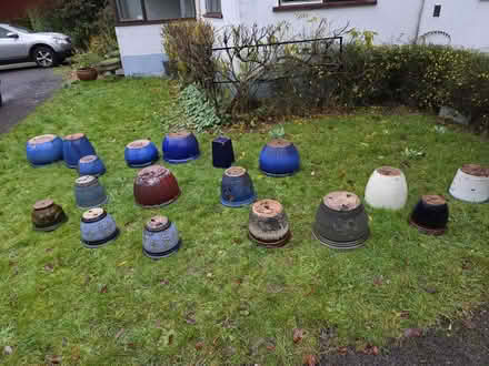 Photo of free Planters and Pots (KT11) #1