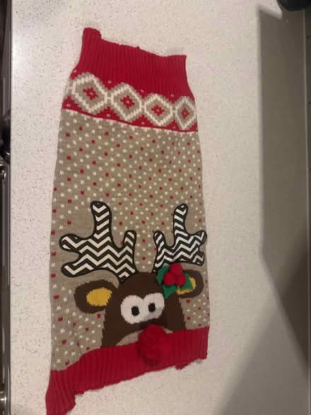 Photo of free Christmas dog jumper (Coalpit Heath BS36) #1