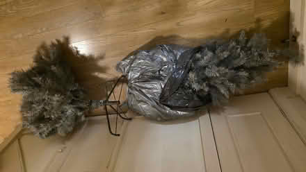 Photo of free Grey Christmas tree (Church RG2) #2