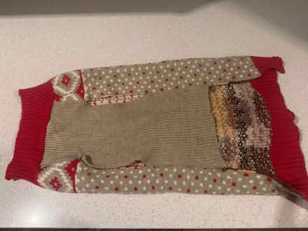 Photo of free Christmas dog jumper (Coalpit Heath BS36) #2