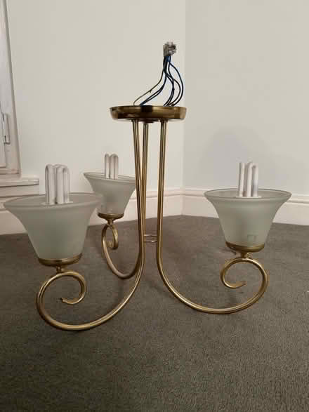 Photo of free Ceiling light fitting. X2 (The Grange EH9) #1