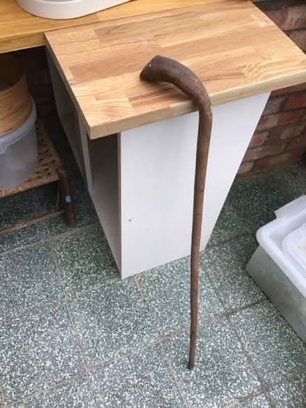 Photo of free Wooden walking stick (Garden City OX5) #2