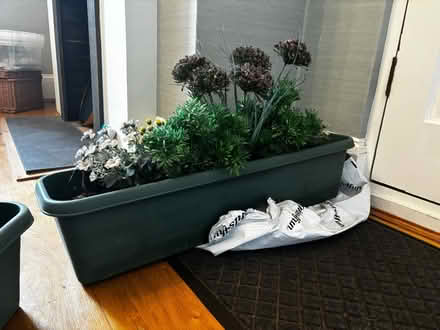 Photo of free Window boxes x2 (CT10) #2