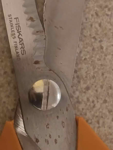 Photo of free Fiskars scissors has rust spots, for crafts? Or .. (Westbury Fields BS9) #2