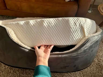 Photo of free Dog bed (Belper DE56) #3