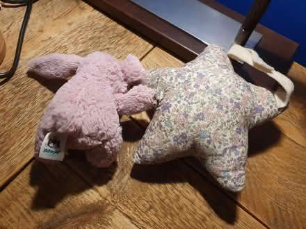 Photo of free Jelly Cat musical bashful bunny and star (Bruntsfield EH10) #2