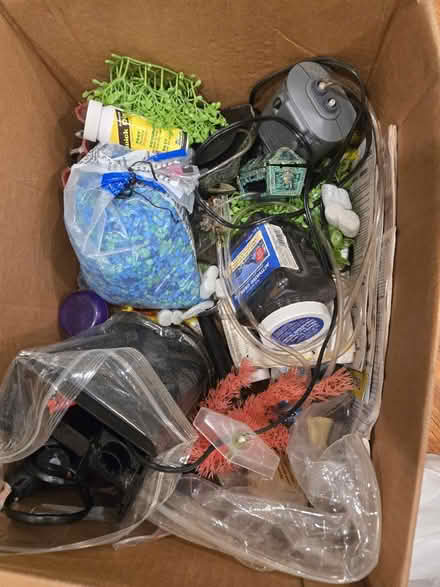 Photo of free Fish Tank Items (Waterbury) #1