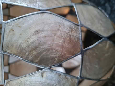 Photo of free Lightshade (Parson's Heath CO4) #2