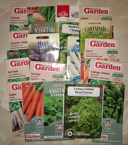 Photo of free Vegetable seeds (Alvaston DE24) #1