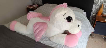 Photo of free Large unicorn teddy bear (Ovens, Co. Cork) #1