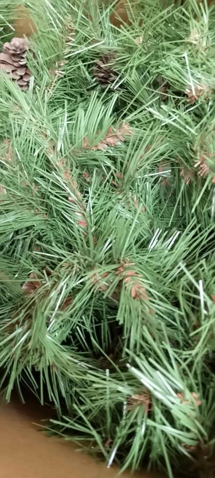 Photo of free Christmas tree (Emmbrook RG41) #2