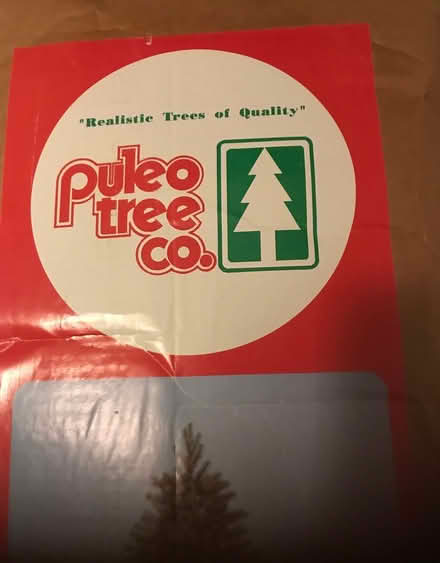 Photo of free 6foot Christmas try (St Johns) #2