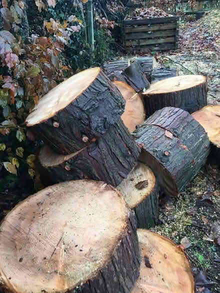 Photo of free Logs (Whitchurch, Tavistock) #1
