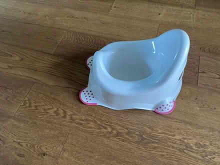 Photo of free Potty (Harrogate HG1) #3