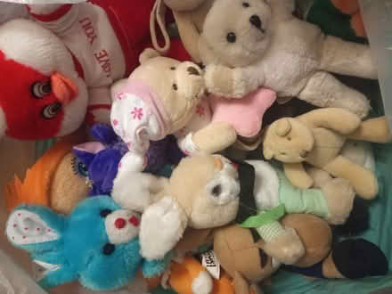 Photo of free Assortment of small soft toys (Kempston MK42) #1
