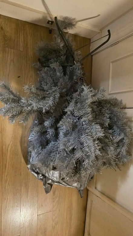 Photo of free Grey Christmas tree (Church RG2) #3