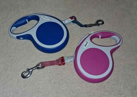 Photo of free Dog accessories (LE2) #3