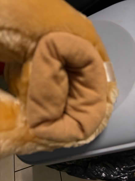 Photo of free Teddy hand puppet (Westbury Wilts BA13) #3