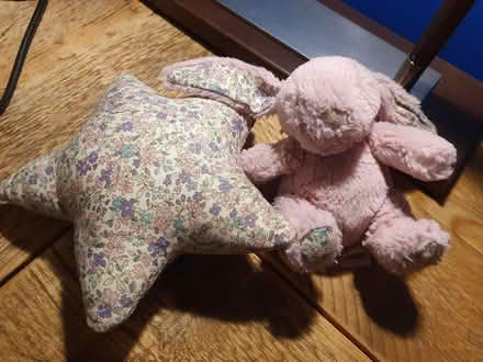 Photo of free Jelly Cat musical bashful bunny and star (Bruntsfield EH10) #1