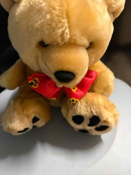 Photo of free Teddy hand puppet (Westbury Wilts BA13) #1