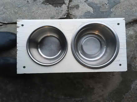 Photo of free Dog bowls in wood holder (Crestview) #1
