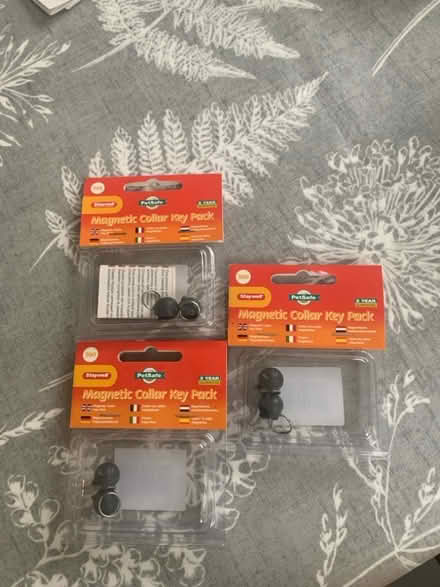Photo of free 3 x magnetic collar key pack for Staywell cat flap (Highway SL6) #1