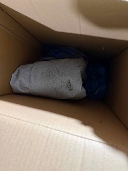 Photo of free 3x2m pool (BR2) #4