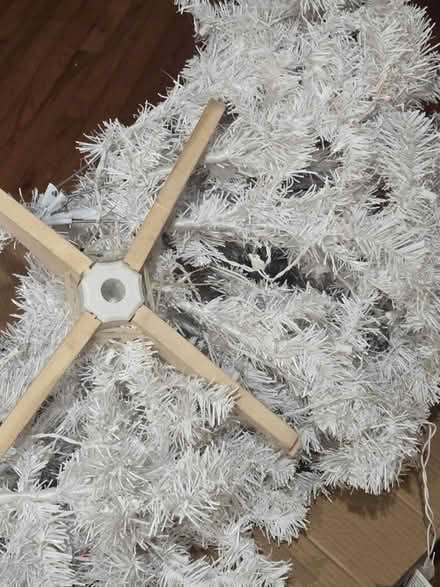 Photo of free Christmas tree (Waterbury) #1