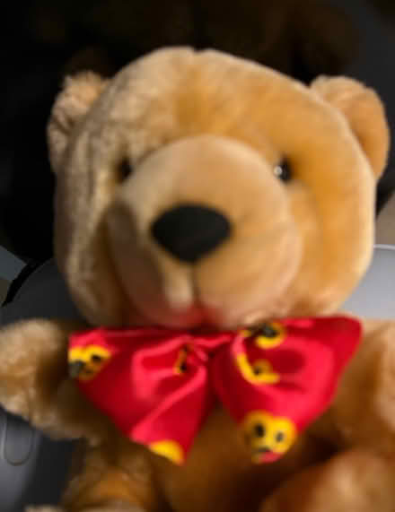 Photo of free Teddy hand puppet (Westbury Wilts BA13) #2