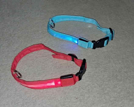Photo of free Dog accessories (LE2) #2