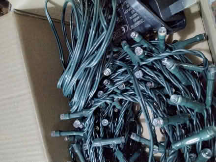 Photo of free Christmas lights (Allerton L18) #2