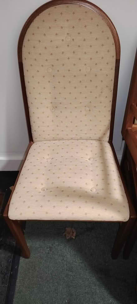 Photo of free Dining chairs (Lower Parkstone BH14) #3